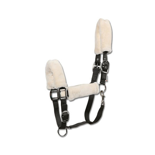 Waldhausen - Licol Fluffy - Cob