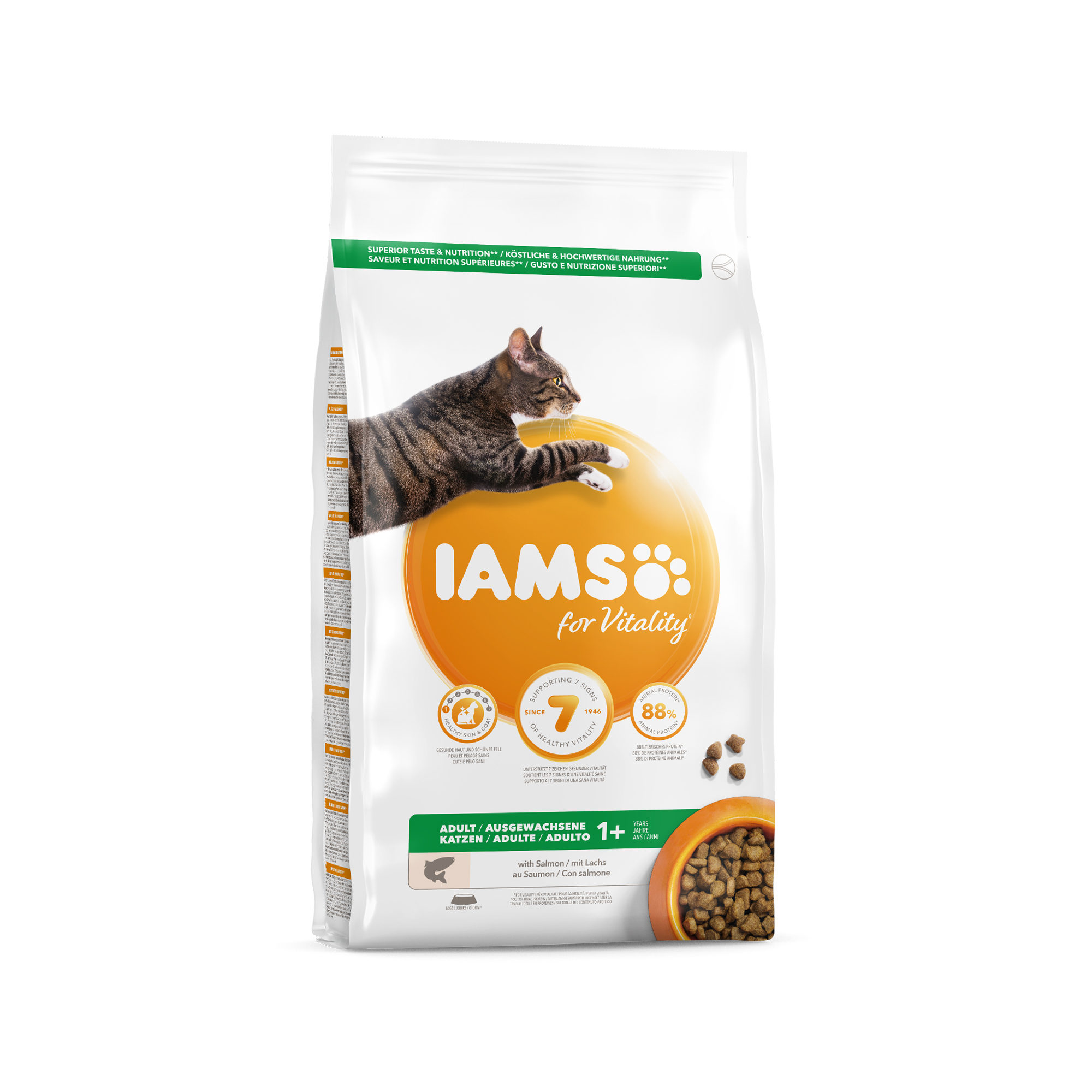 iams kitten & junior