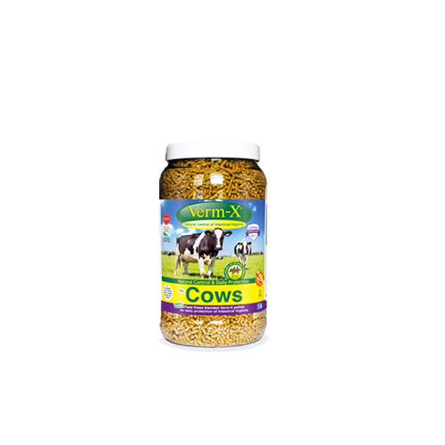 Verm-X - Vache