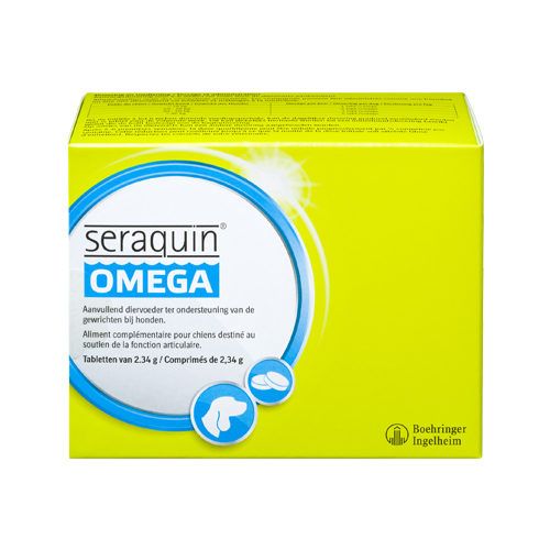 Seraquin Omega - Chien