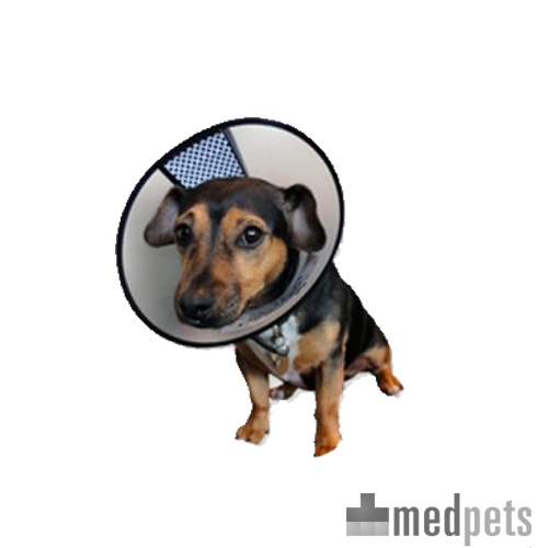 AA-Vet Easyfix Collar