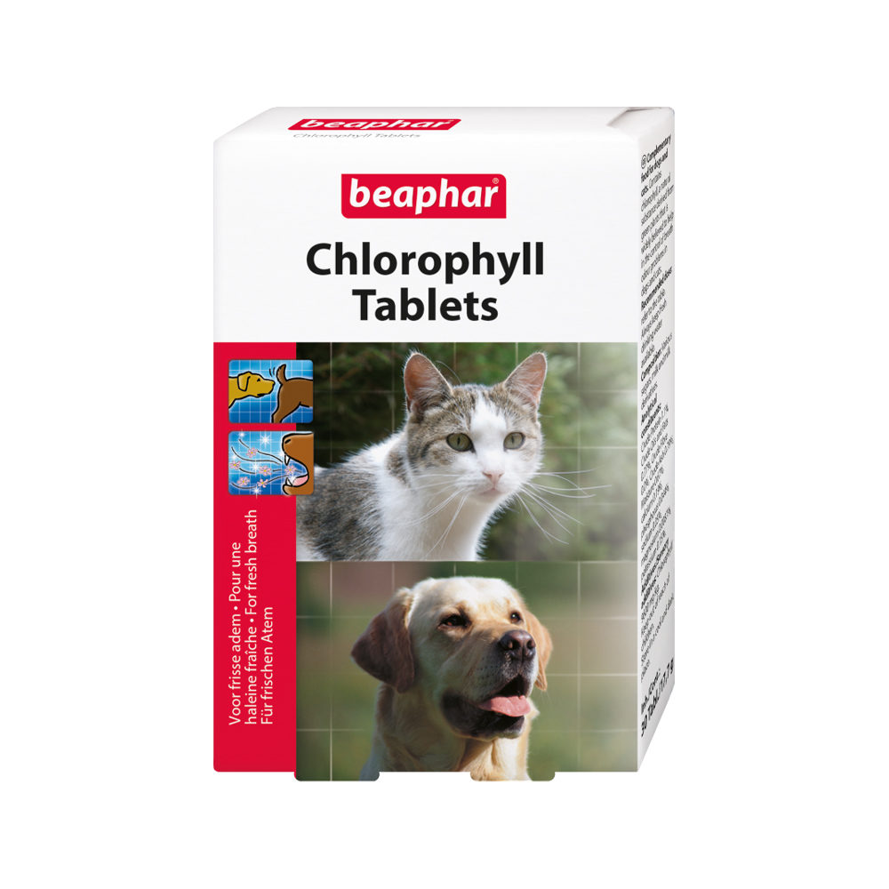 Beaphar Chlorophyll Tablets Hunde Medpets.at Medpets.at