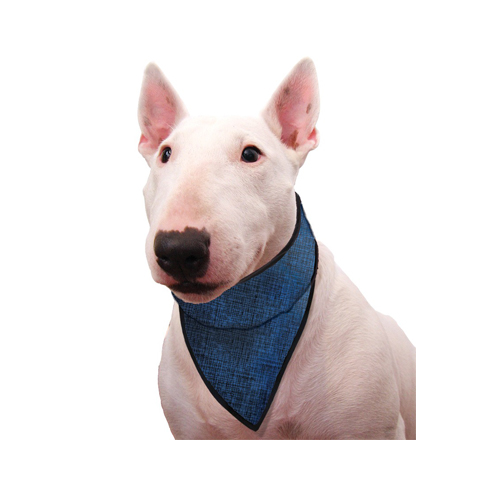 Aqua Coolkeeper Bandana - Blau