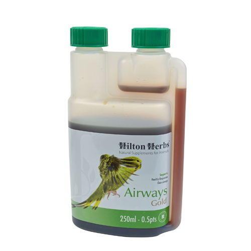 Hilton Herbs Airways Gold for Birds (für Vögel)