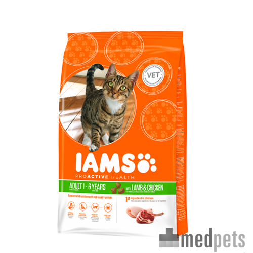 iams kitten & junior