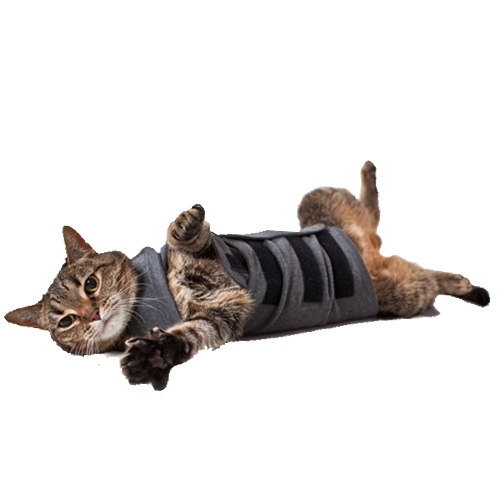Gilets De Protection Pour Chats Commandez En Ligne Medpets Fr