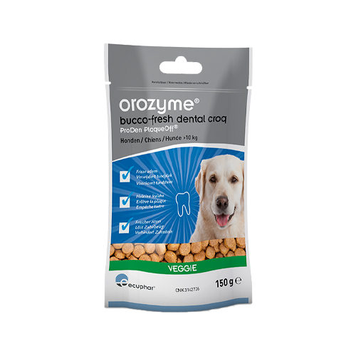 Orozyme Bucco-Fresh Dental Croqs - Groß