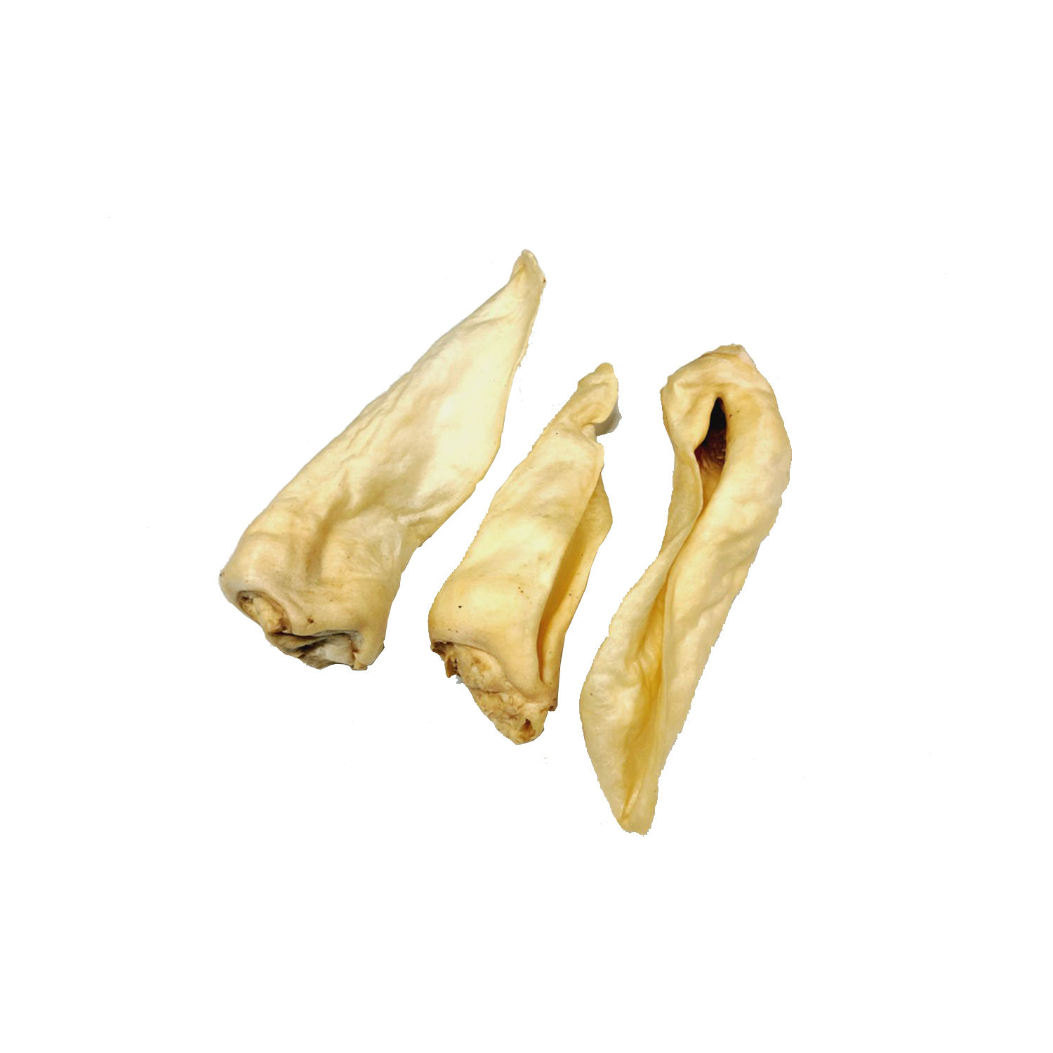 Competition - Oreilles de chèvre - Adult