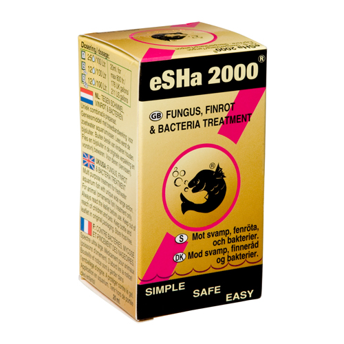 eSHa 2000