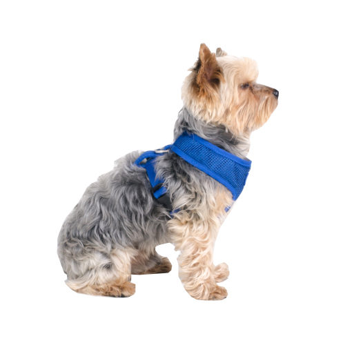 Aqua Coolkeeper RoundLoop Harness