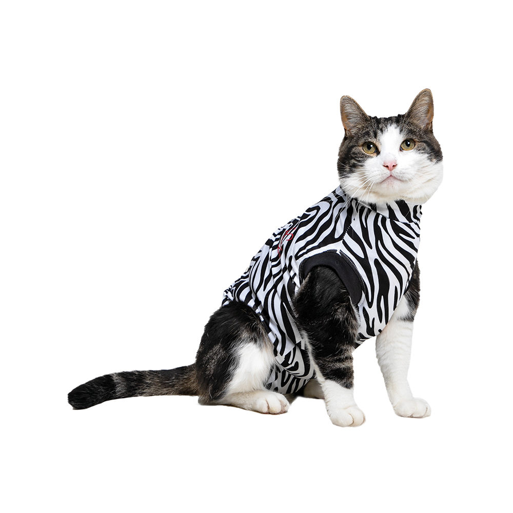 Gilets De Protection Pour Chats Commandez En Ligne Medpets Fr