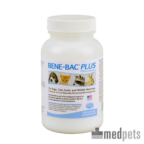 Bene-Bac Plus Pet - Poudre