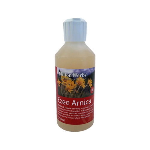 Hilton Herbs Ezee Arnica Hund &amp; Pferd Medpets.at Medpets.at