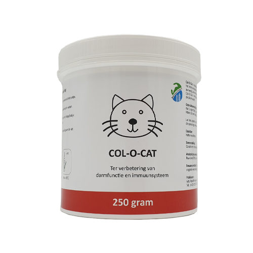 Psyllium Plus Cat Chat Commander Medpets.fr