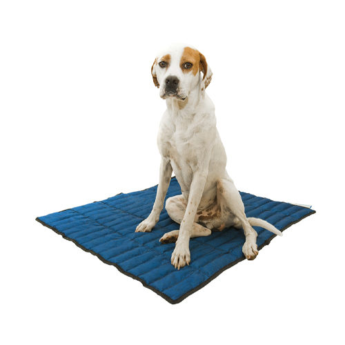 Aqua Coolkeeper Tapis rafraîchissant - Bleu