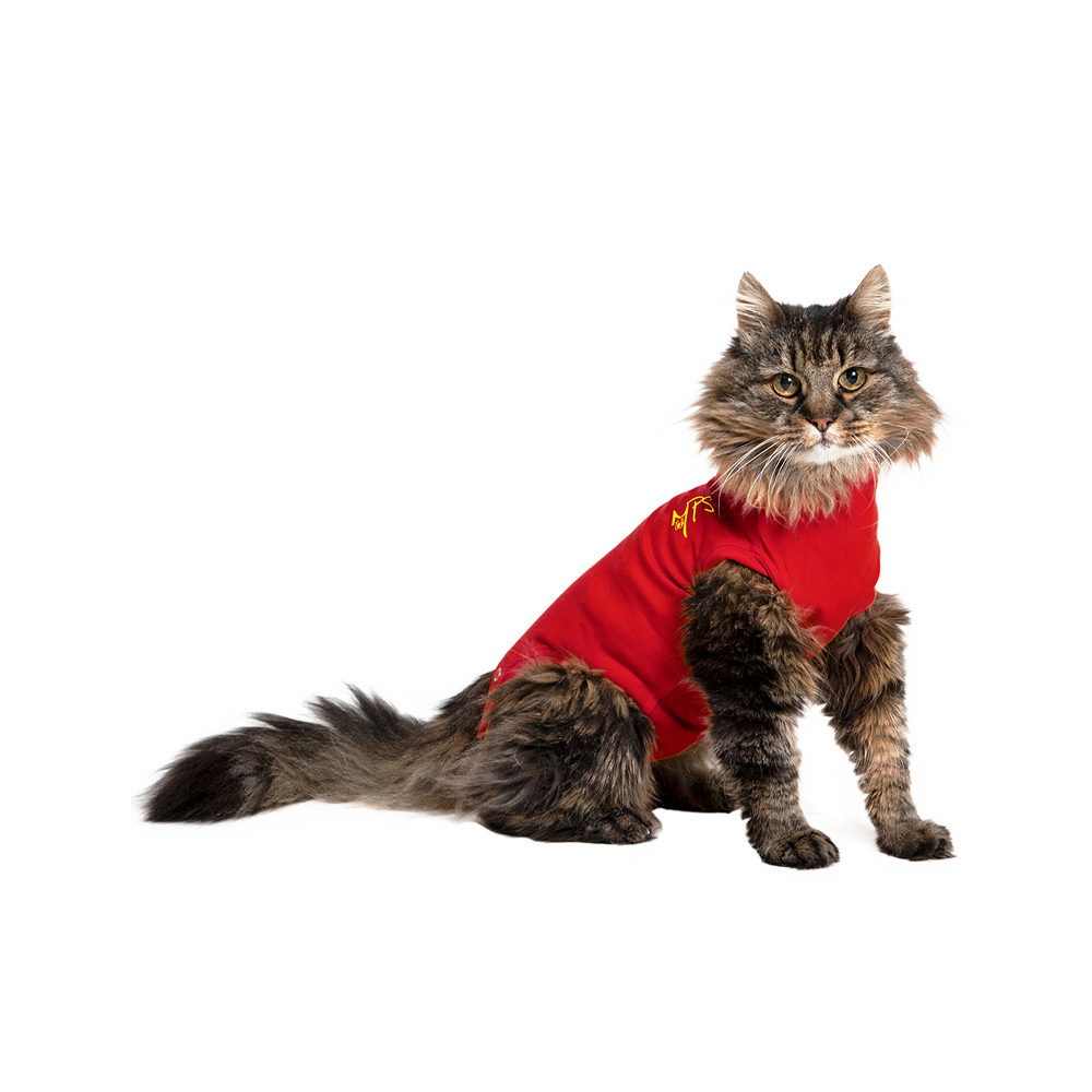 Medical Pet Shirt Chat Animalerie En Ligne Medpets Fr Medpets Fr