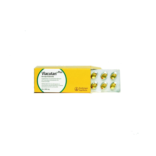 Viacutan Plus Kapseln