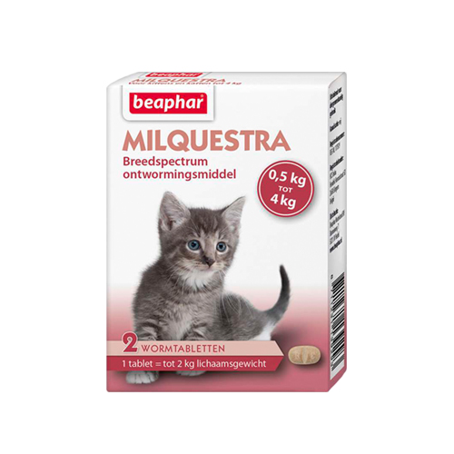 Beaphar Milquestra - Petit chat / chaton