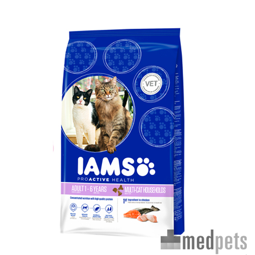 iams kitten & junior