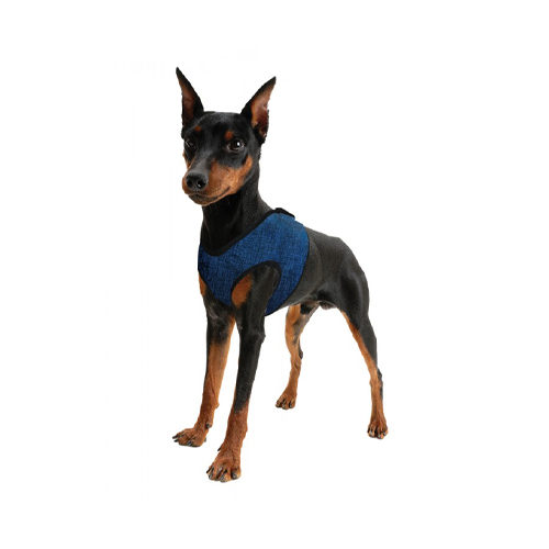 Aqua Coolkeeper Comfy Harness - Pacific Blue