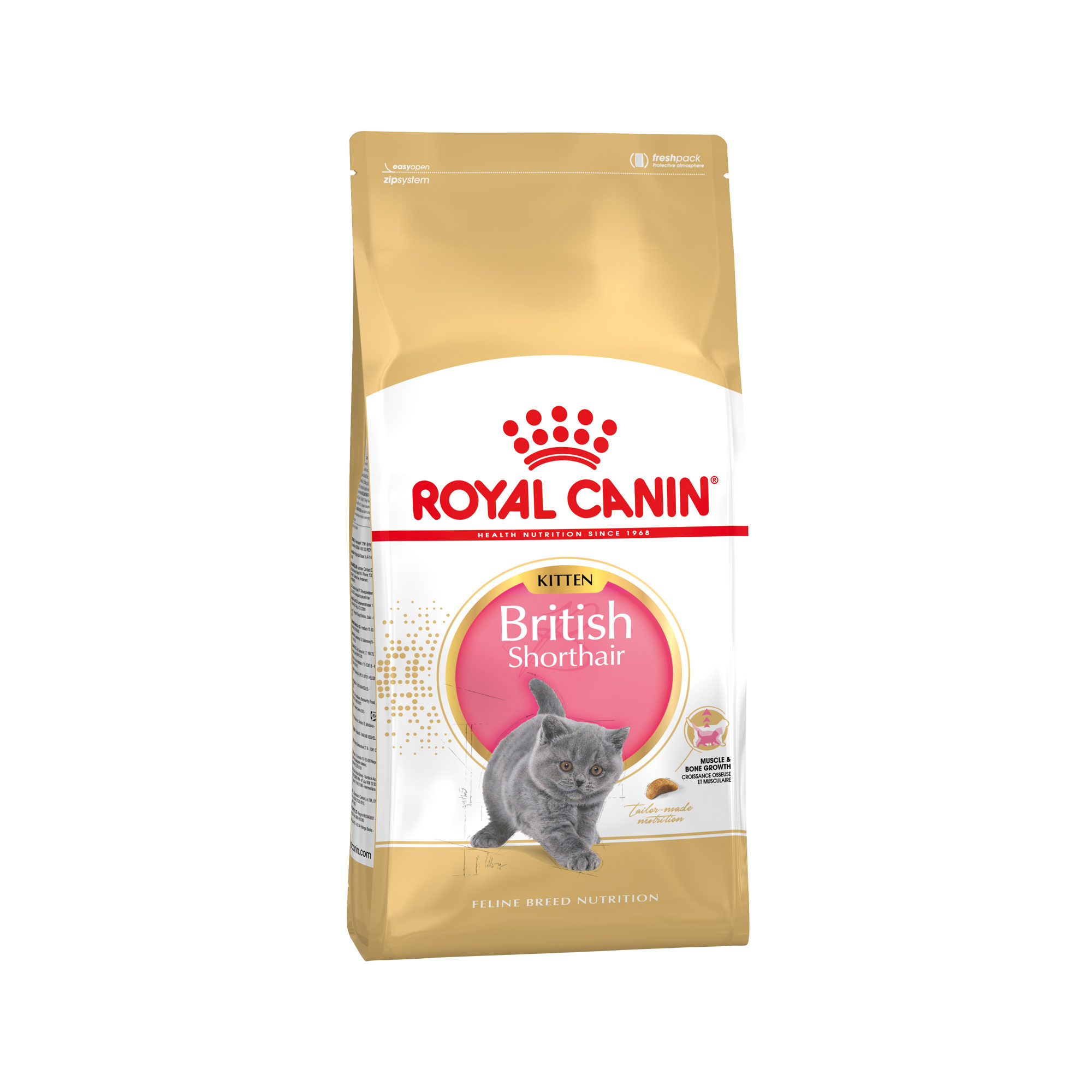 Royal Canin British Shorthair Kitten