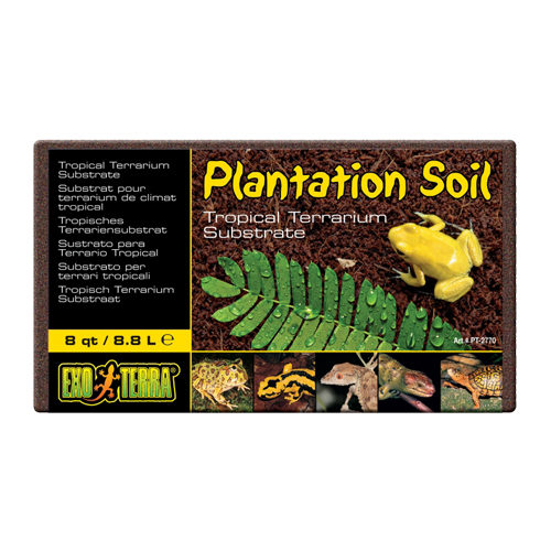Exo Terra Substrat pour Terrarium Tropical