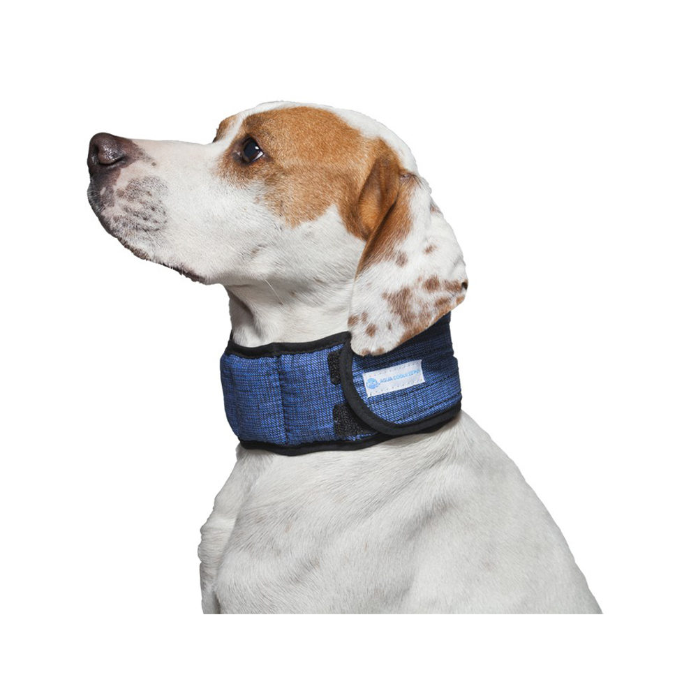 Aqua Coolkeeper  Collier rafraîchissant  Chien  Medpets.fr