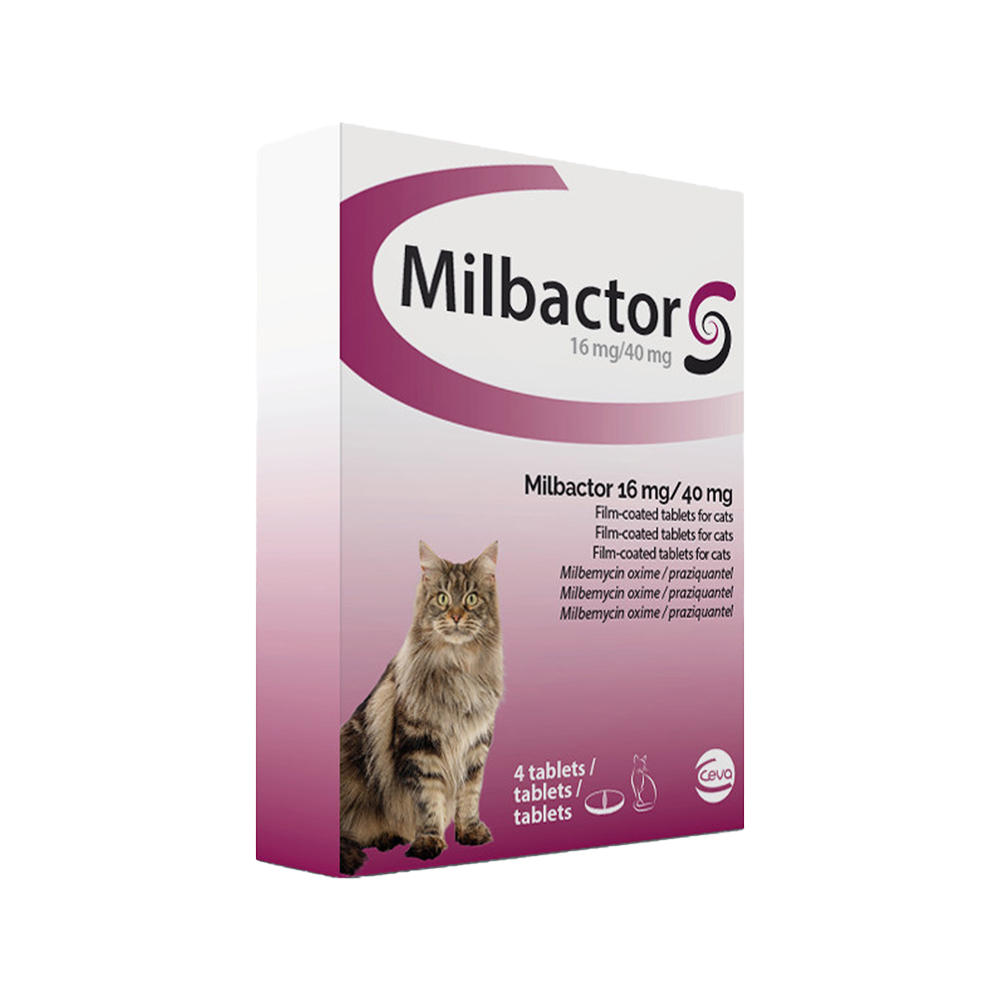 Milbactor Chat Vermifuge Chats Comprimes Medpets Fr