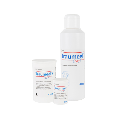Traumeel S Gouttes