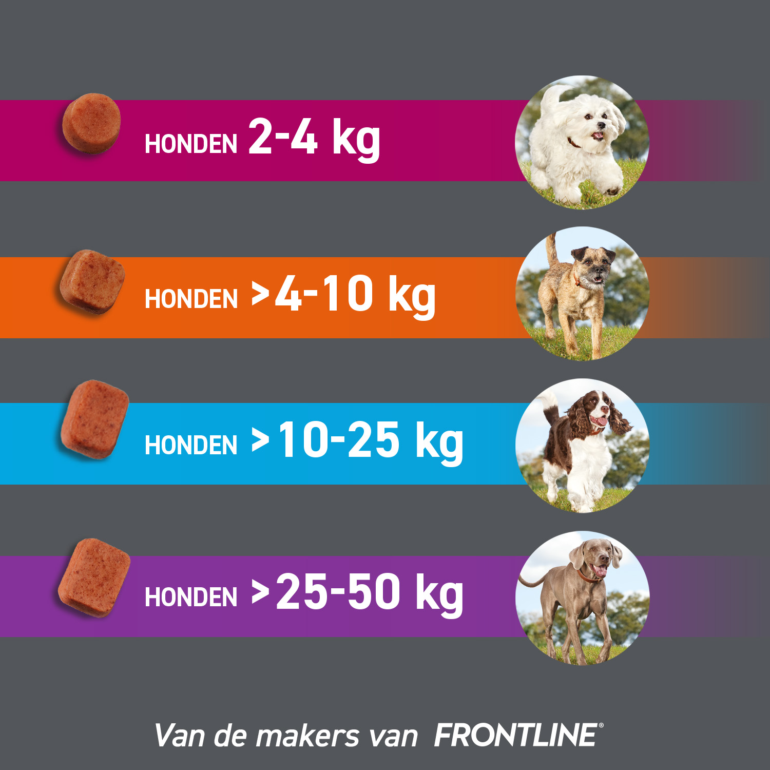 FRONTPRO Kauwtabletten Hond