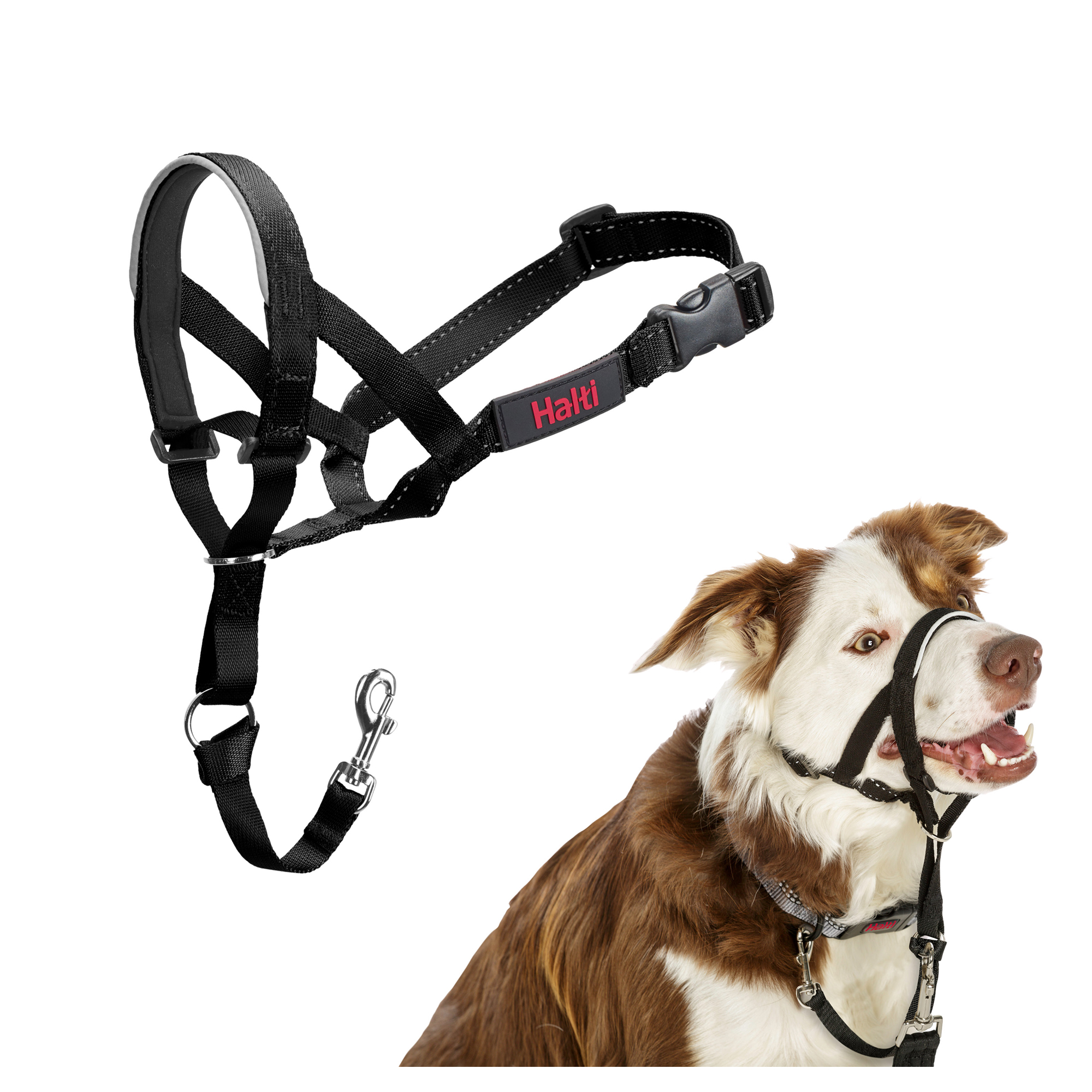 Halti Headcollar
