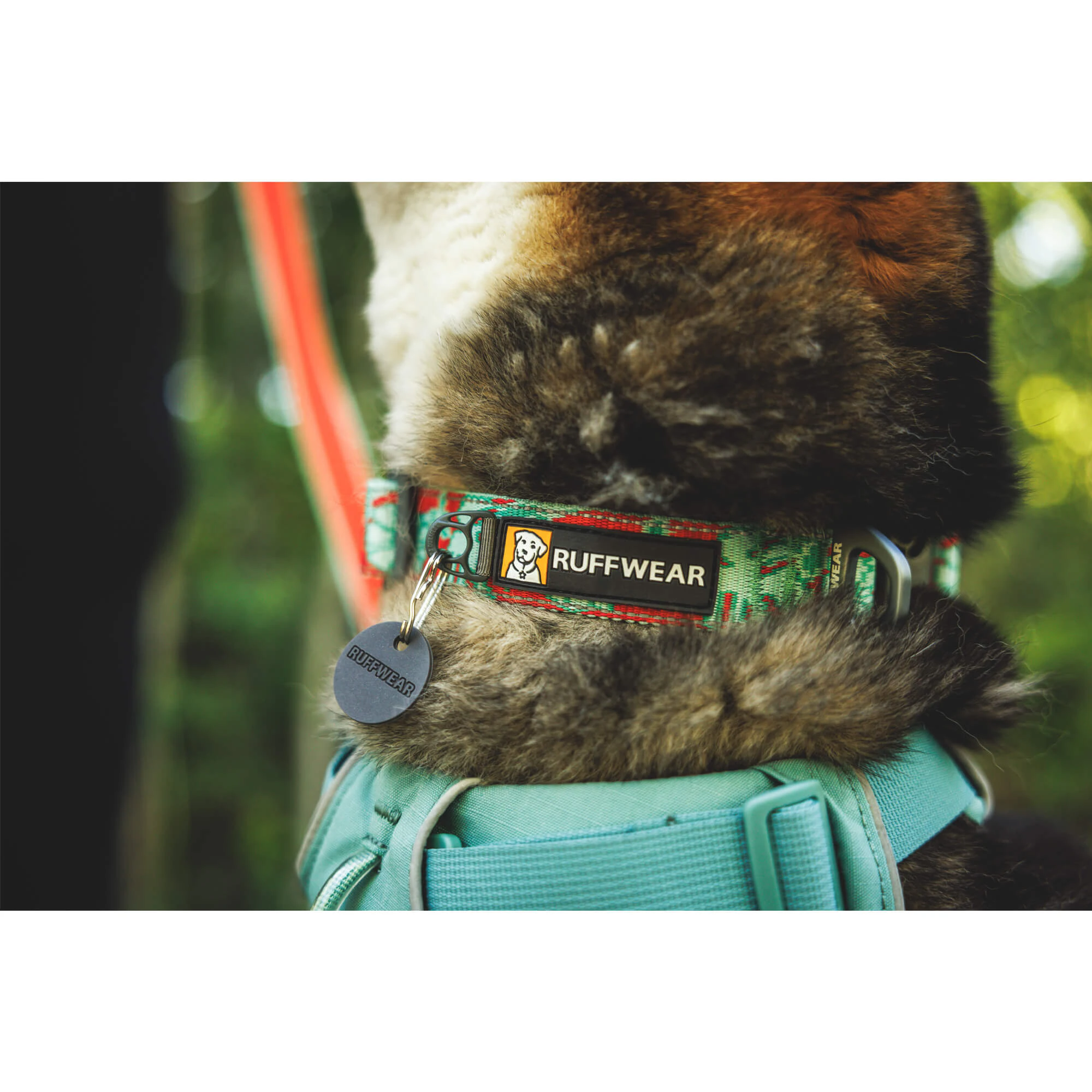 Ruffwear Crag Collar