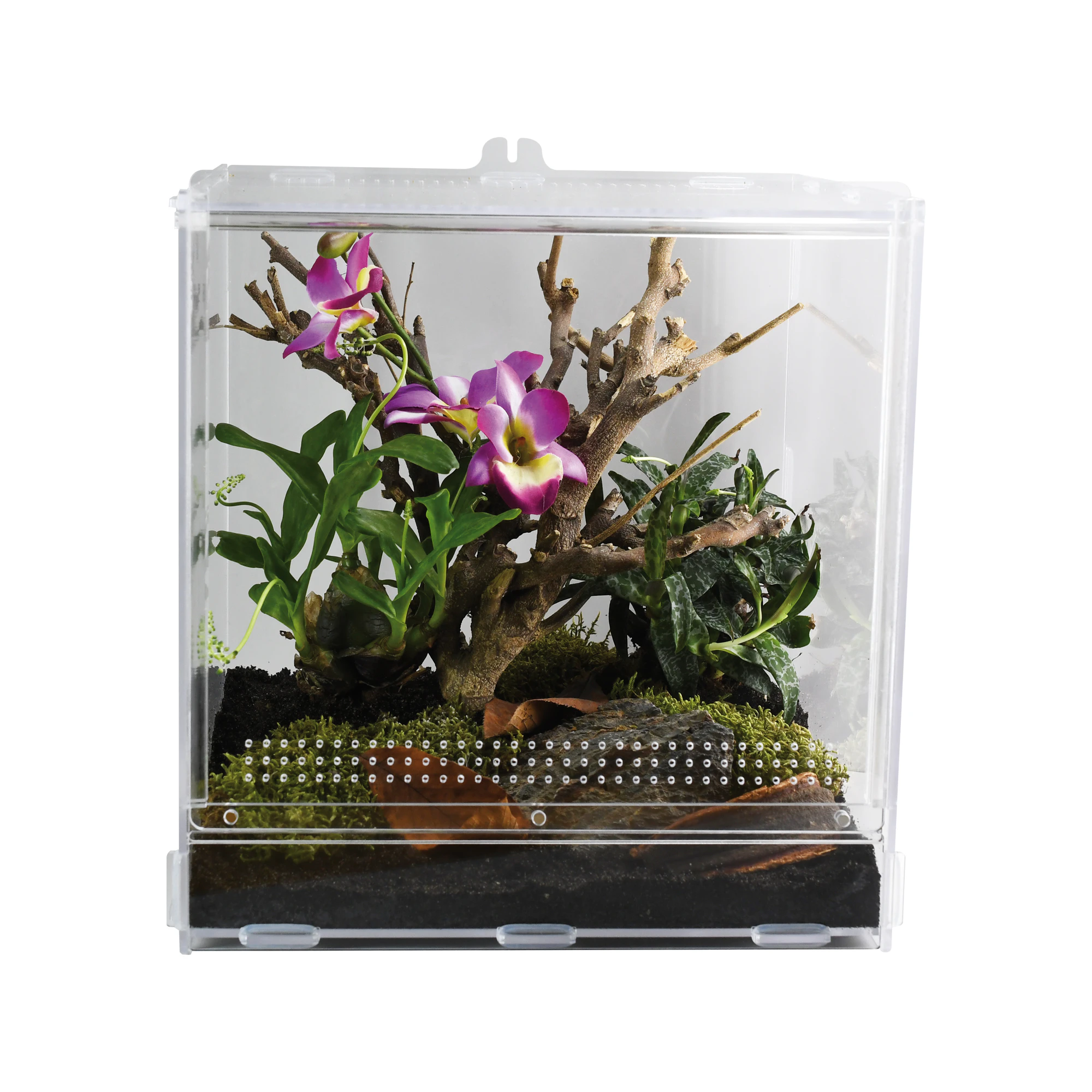 Lucky Reptile LifeTarrium