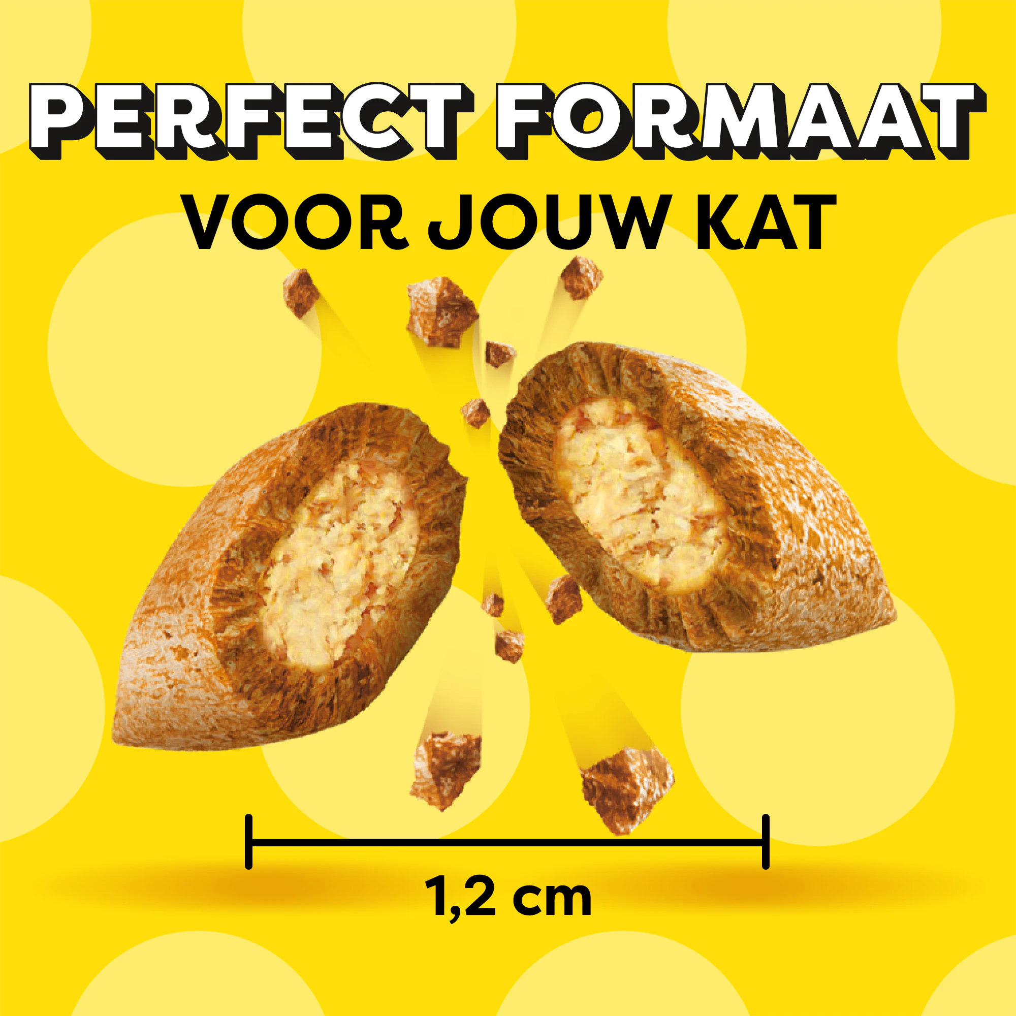 Catisfactions Kattensnoepjes