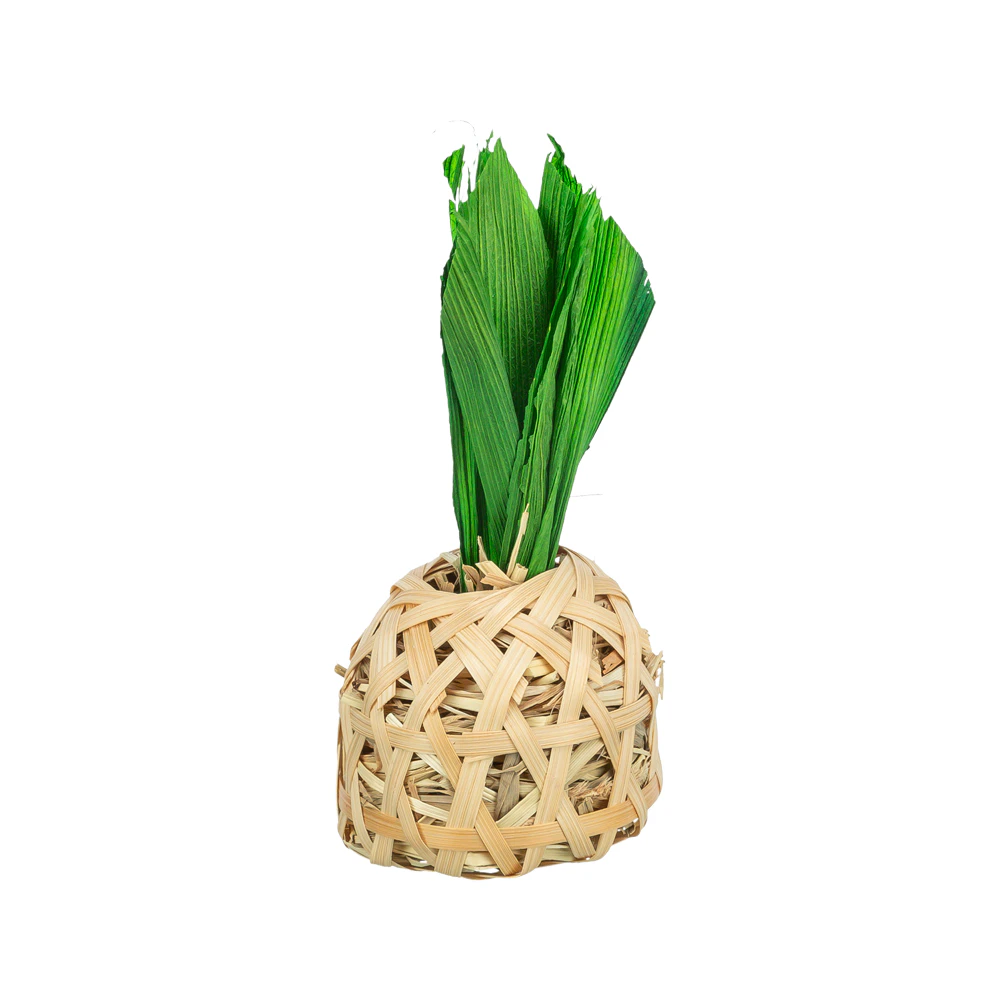 Trixie Pineapple