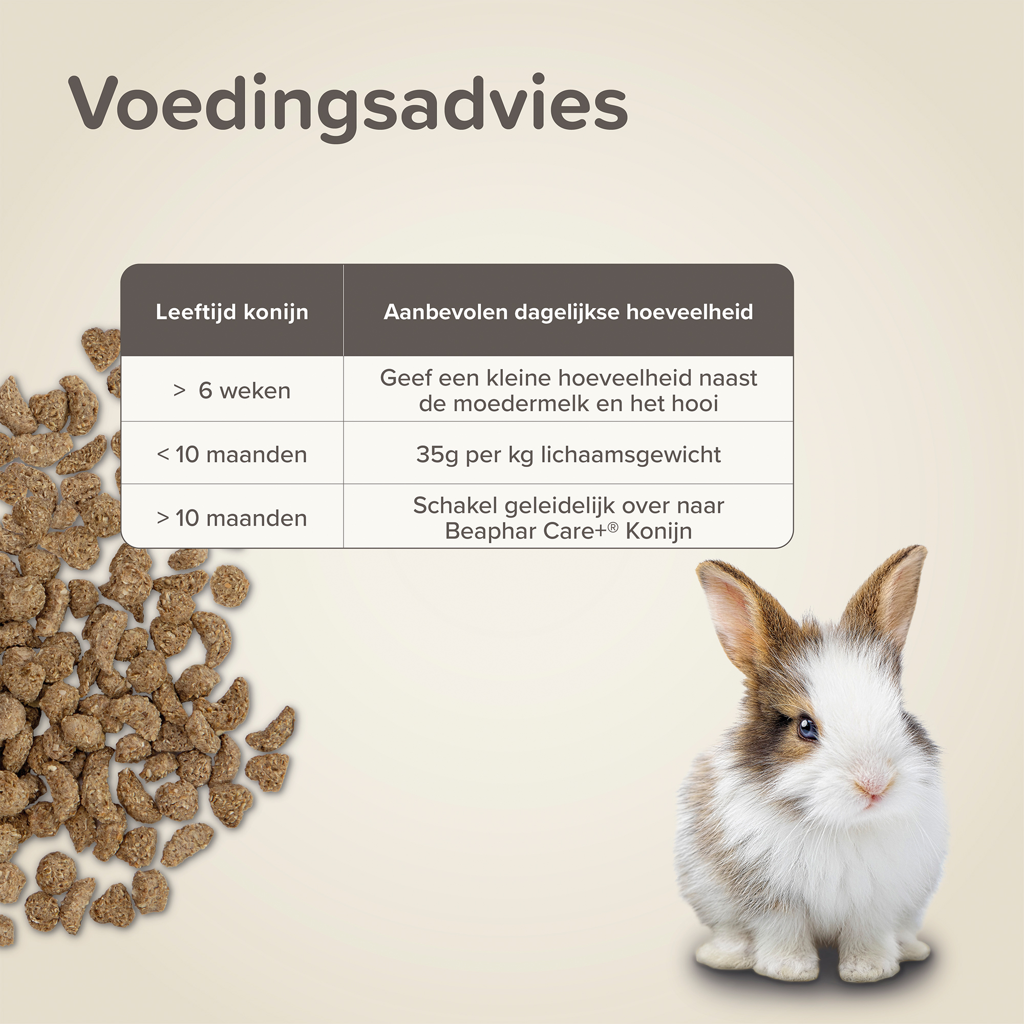 Beaphar Care+ Konijn Junior