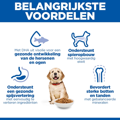 Hill's Science Plan - Large Breed - Puppy - Kip