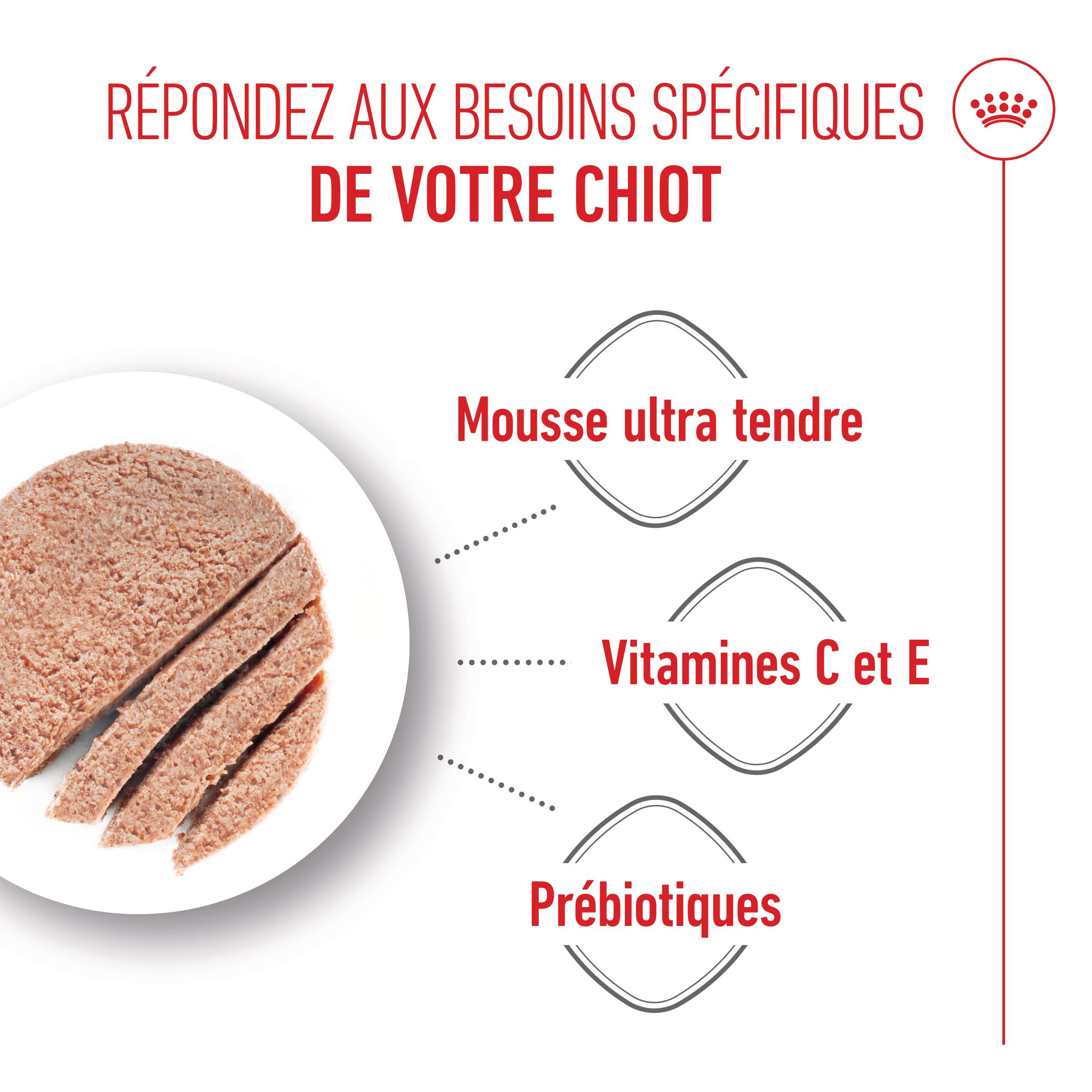 Royal Canin Starter Mousse Mother & Babydog - Boîte