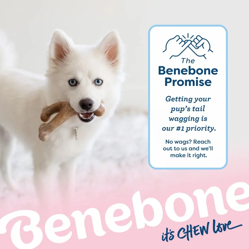 Benebone Puppy Wishbone