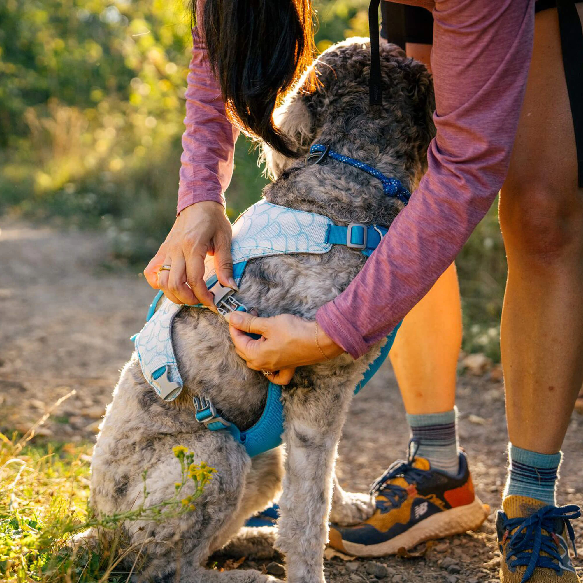 Ruffwear Swamp Cooler Harness