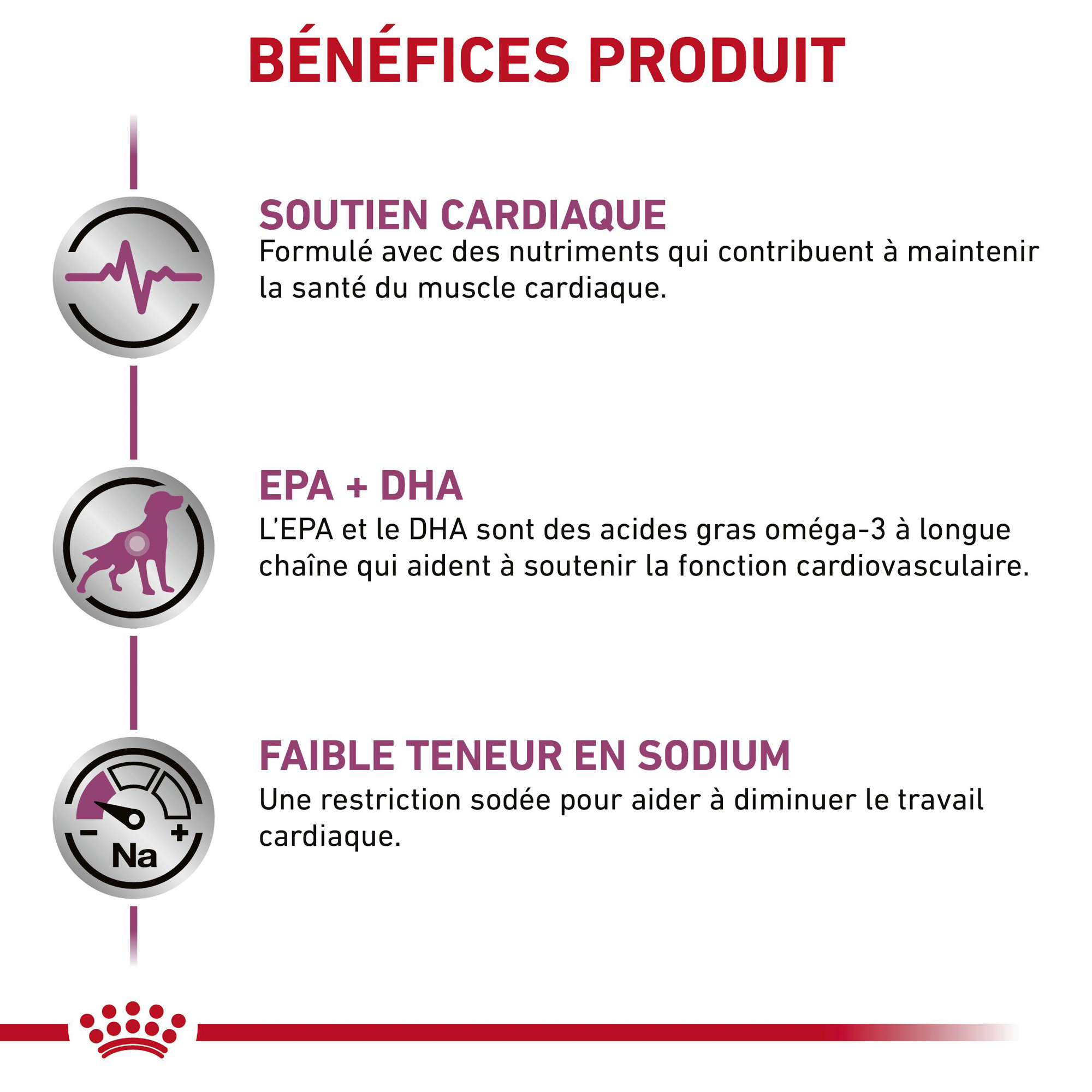 Royal Canin Cardiac Support Chien - Boîte