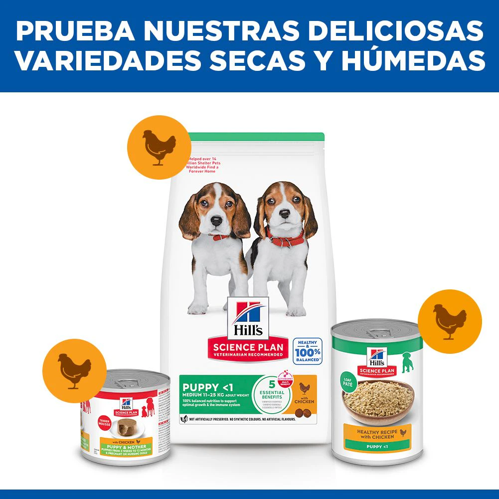 Hill's Science Plan - Puppy - Medium - Pollo