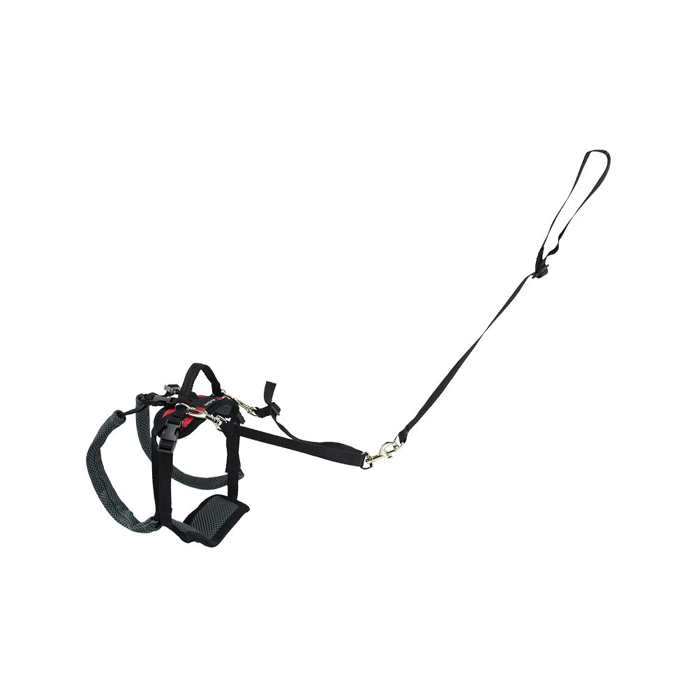 Petsafe Carelift Rear Support Harness - Rouge - S