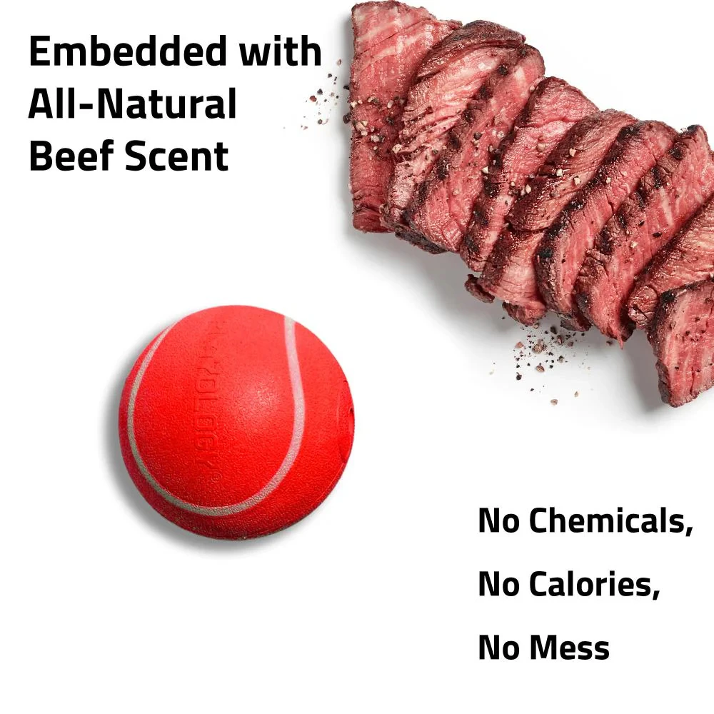 Playology Squeaky Chew Ball