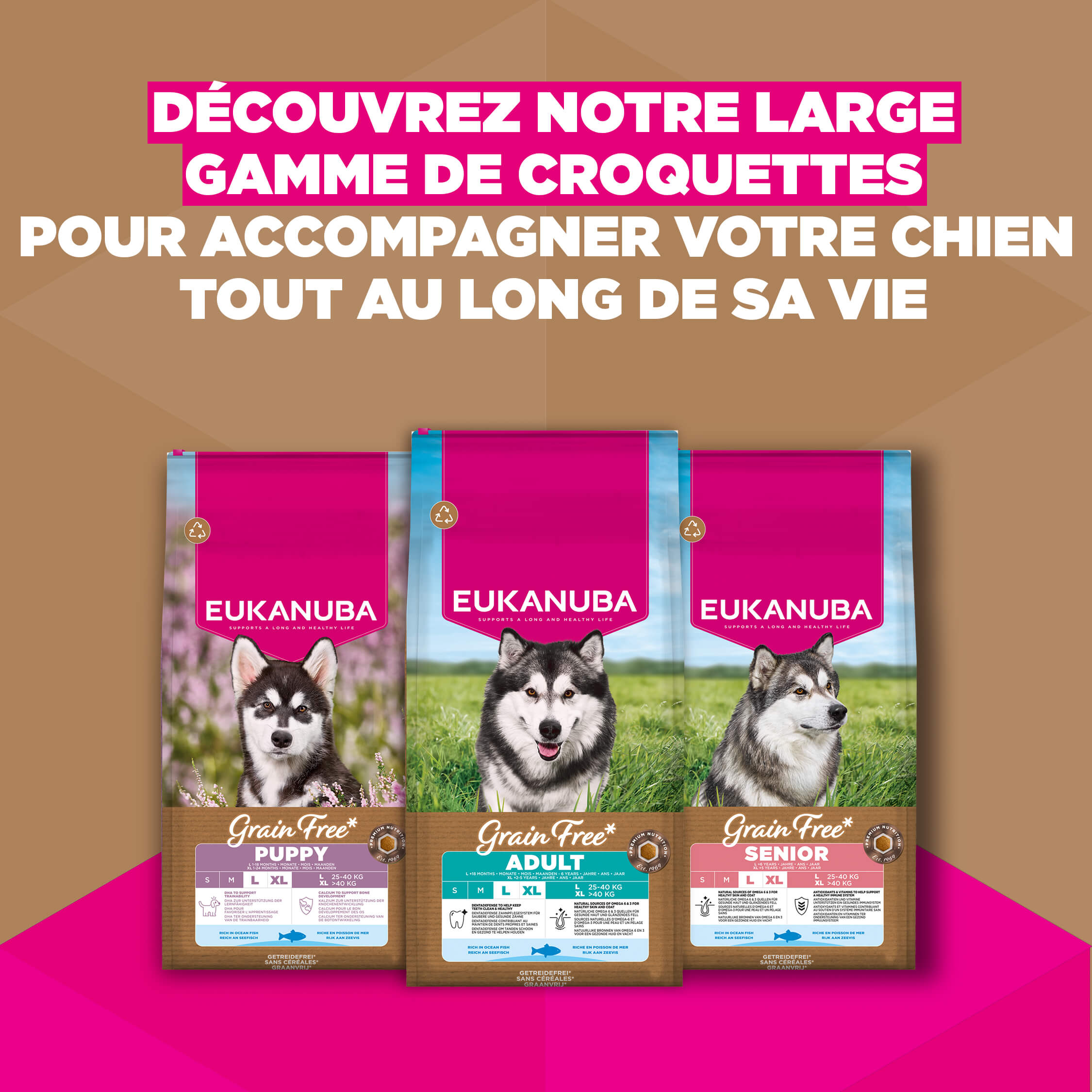 Eukanuba Nourriture pour chiens juniors de large taille sans céréales