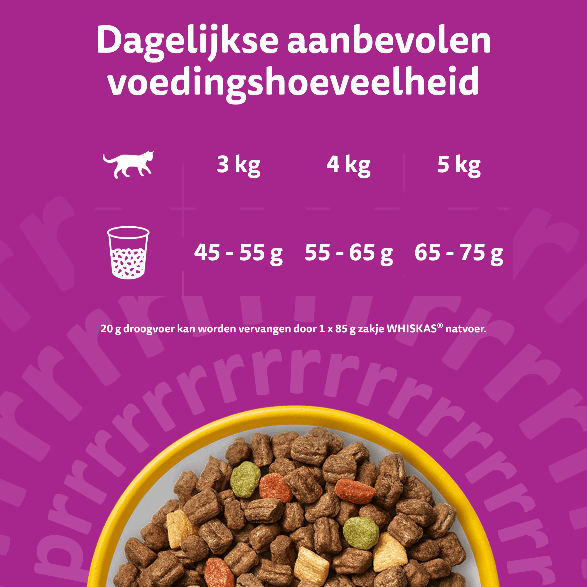 Whiskas Droog Senior Box