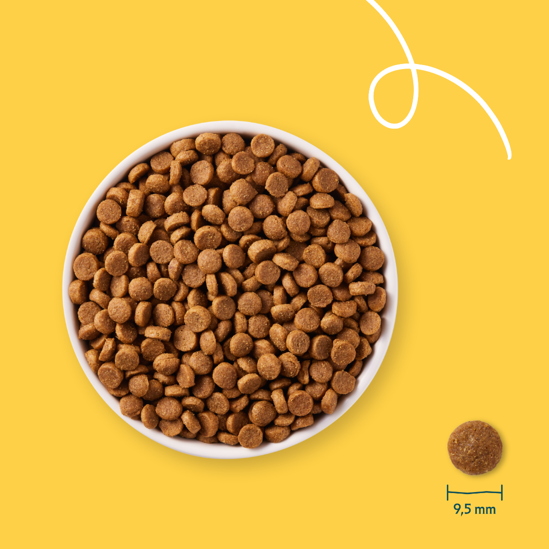 Yarrah Bio Puppy Hundefutter
