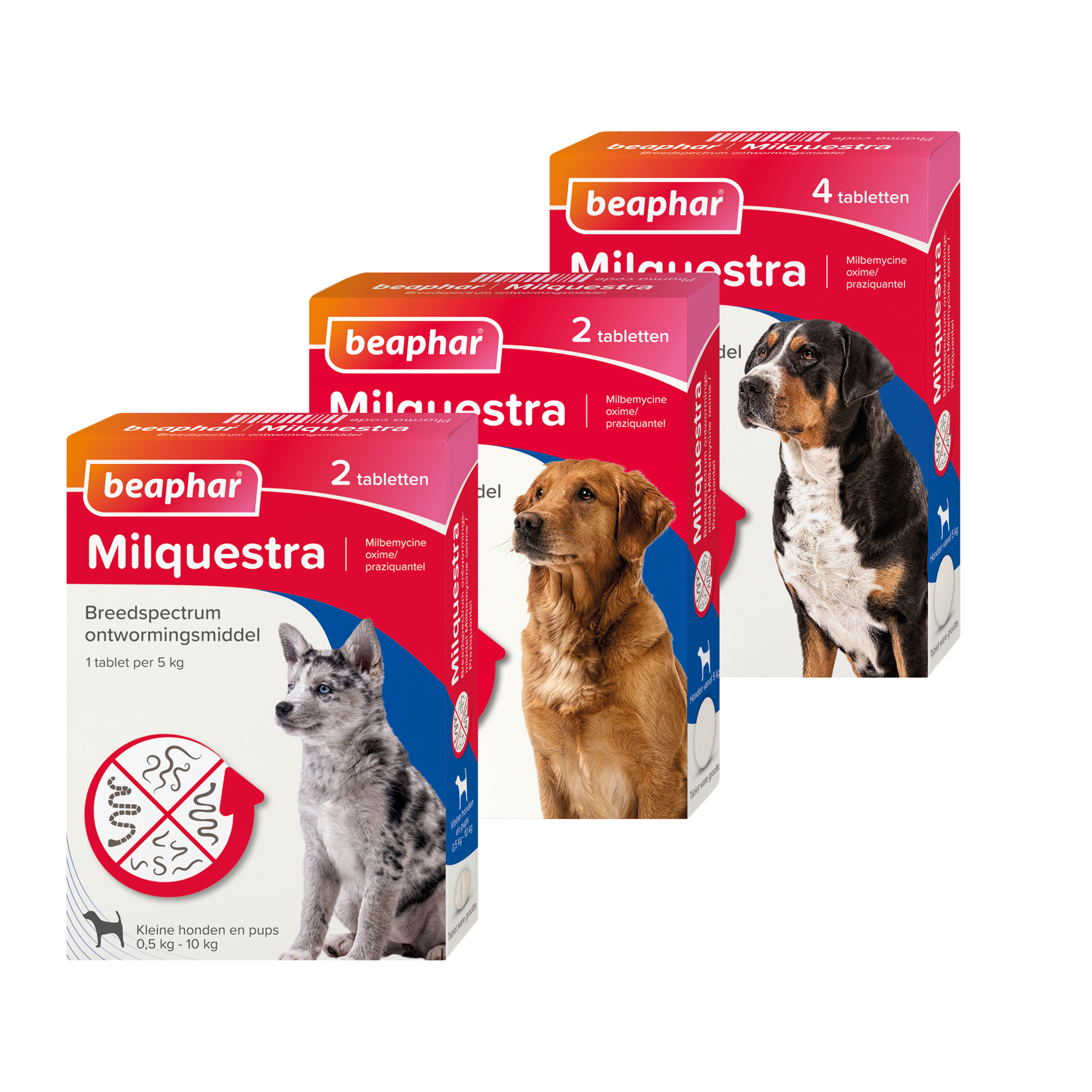 Beaphar Milquestra Hond