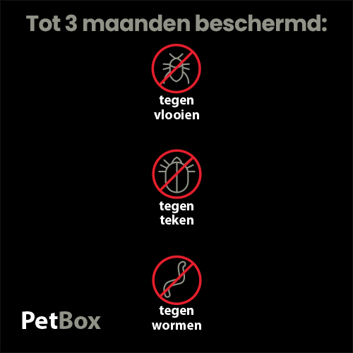 PetBox Hond