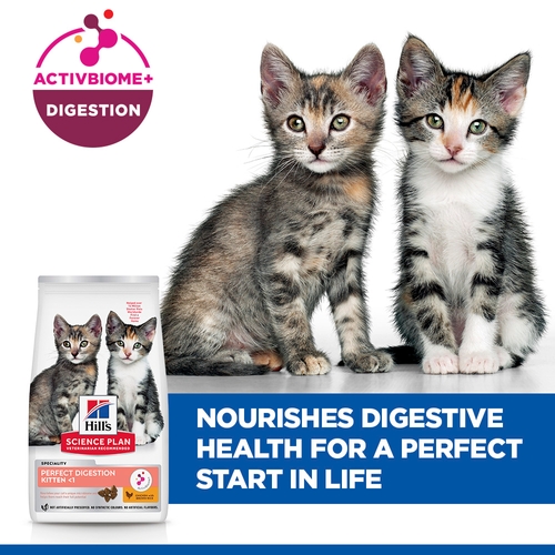 Hill's Science Plan Perfect Digestion Kitten Food